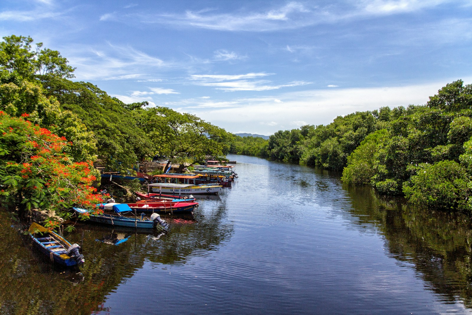 boats docked beside trees on river