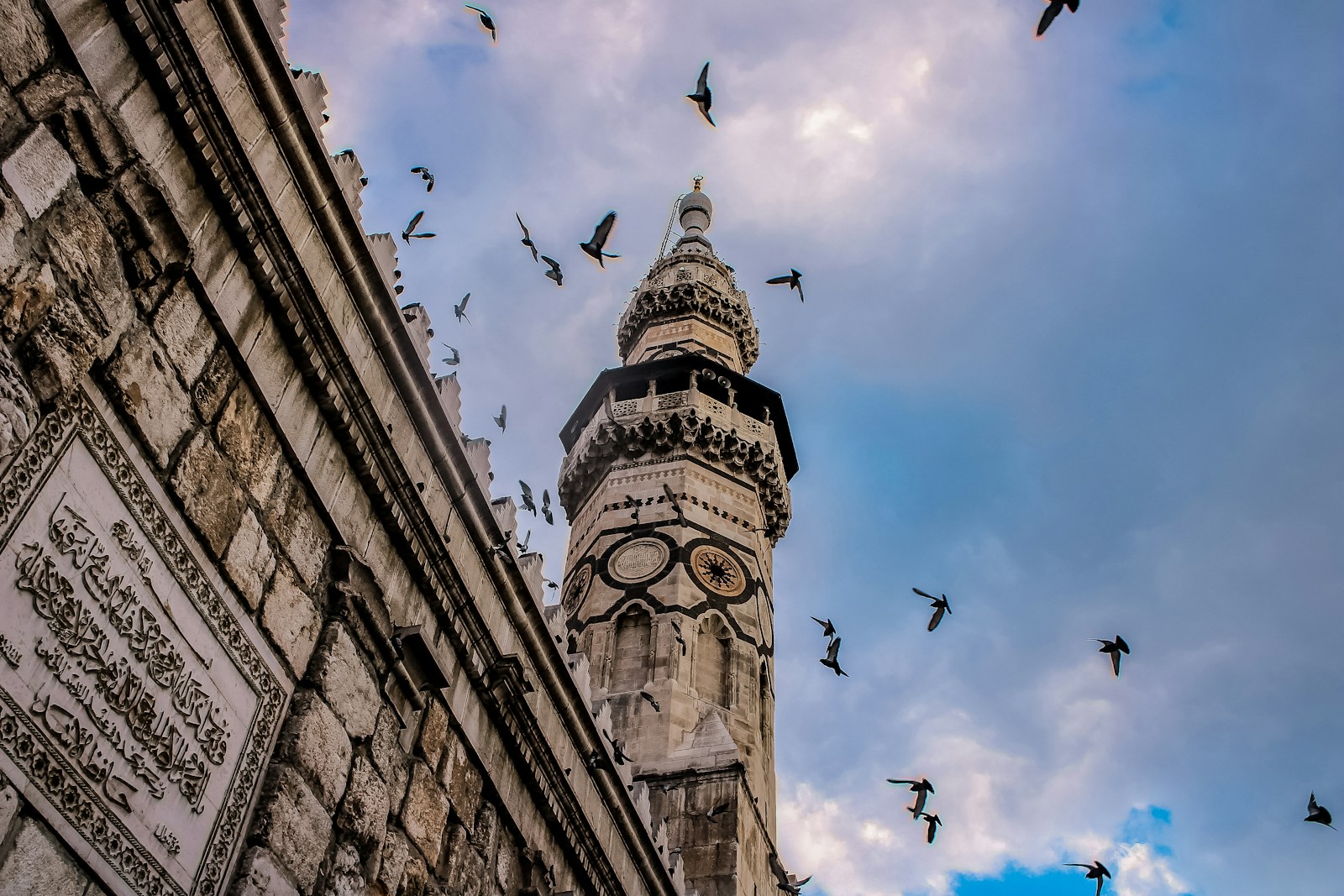 low angle photography of flock of birds flying over the building during daytime