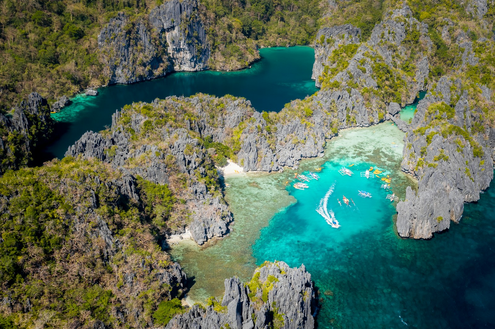 aerial view of green lake surrounded by green trees during daytime